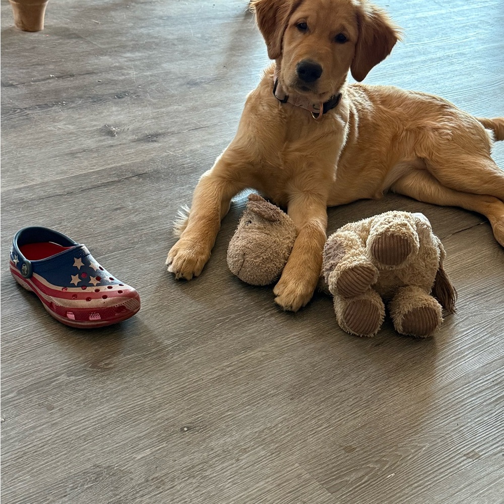 You just won a cutie !